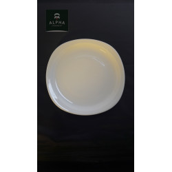 ASSIETTE PLATE DIAM 24 CM - OSLO N°3 TARIF 2 JOURS